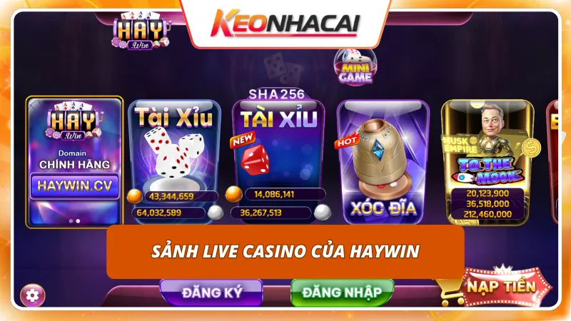 Dẫn dắt duyên dáng từ Dealer mang lại không khí sòng bài thực