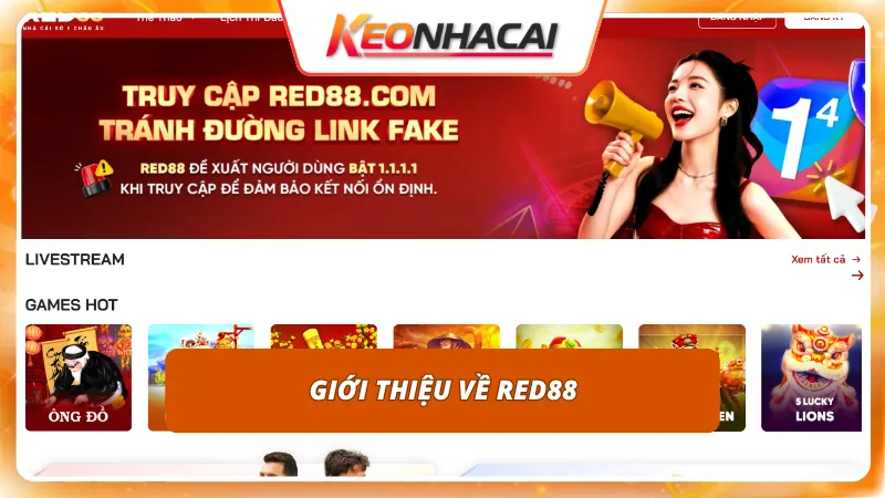 Nền tảng cá cược uy tín mang đậm phong cách giải trí châu Âu