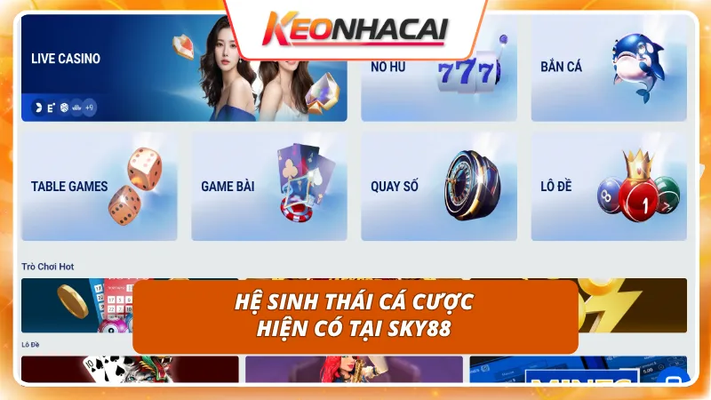 Hệ thống sảnh cược phong phú thỏa mãn mọi đam mê